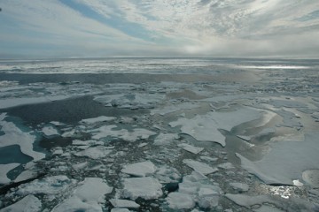 Rapid decline of Arctic sea ice a combination of climate change and natural variability